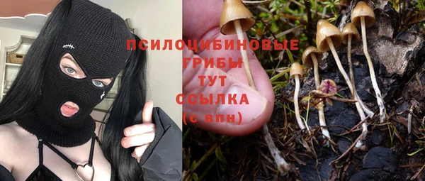 ALPHA-PVP Арсеньев