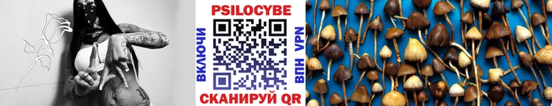 ОМГ ОМГ ссылки  Белозерск  Псилоцибиновые грибы прущие грибы  купить наркотики цена 